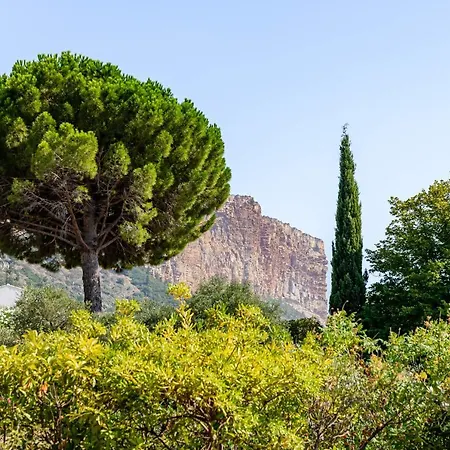 Le Nadadou Par Dodo A *